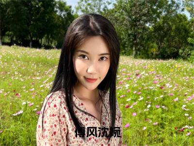 傅风沈婉（沈婉傅风）全文免费阅读无弹窗大结局_傅风沈婉免费阅读无弹窗最新章节列表