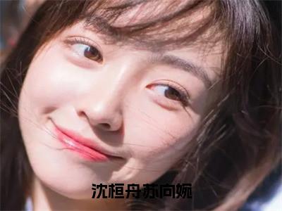 沈桓舟苏向婉小说苏向婉沈桓舟大结局-精彩美文苏向婉沈桓舟免费阅读