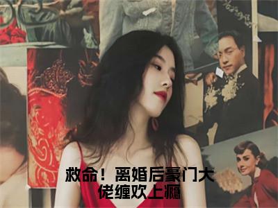 救命！离婚后豪门大佬缠欢上瘾乔婉盛夜城小说-救命！离婚后豪门大佬缠欢上瘾小说免费阅读