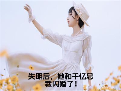 失明后，她和千亿总裁闪婚了！免费小说全文免费阅读无弹窗大结局_傅司寒沐浅浅完结版在线阅读