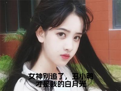 女神别追了，丑小鸭才是我的白月光全文免费阅读无弹窗大结局-林晨无弹窗阅读