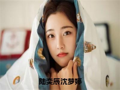 陆奕辰沈梦婷全文（沈梦婷陆奕辰）全文免费阅读无弹窗大结局_（沈梦婷陆奕辰）陆奕辰沈梦婷最新章节列表