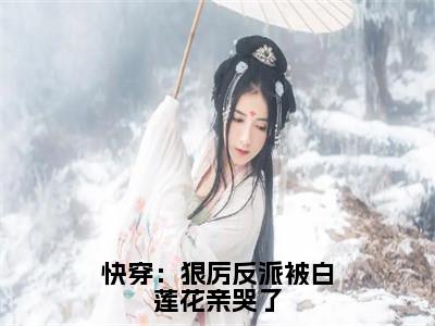 快穿：狠厉反派被白莲花亲哭了（林落烟许星羿）全文免费阅读最新章节_快穿：狠厉反派被白莲花亲哭了大结局精彩阅读_笔趣阁（林落烟许星羿）