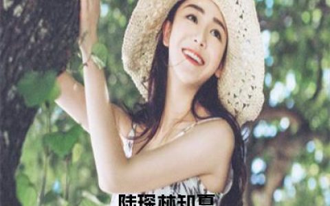 林知夏陆琛（陆琛林知夏）全文免费阅读无弹窗大结局_陆琛林知夏最新章节列表笔趣阁