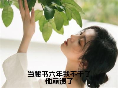 温栩之顾寒宴（当秘书六年我不干了他崩溃了）的小说完整版免费阅读主角是（温栩之顾寒宴）当秘书六年我不干了他崩溃了无弹窗免费阅读