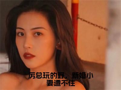 厉总玩的野，新婚小妻遭不住小说（厉邢童晚书）全文免费阅读-厉总玩的野，新婚小妻遭不住全文阅读无弹窗