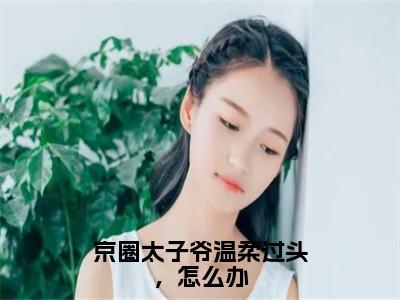 京圈太子爷温柔过头，怎么办（陈乔南尹沨）小说免费无弹窗大结局-京圈太子爷温柔过头，怎么办小说全文完整版阅读