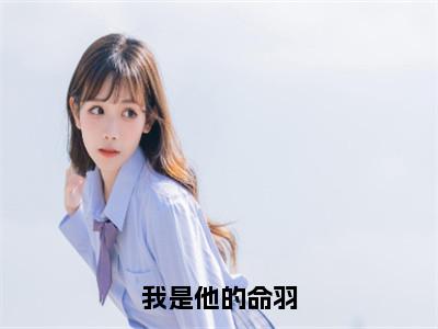 我是他的命羽（曲云荷陆青尘）全文免费阅读无弹窗大结局_我是他的命羽_笔趣阁（曲云荷陆青尘）